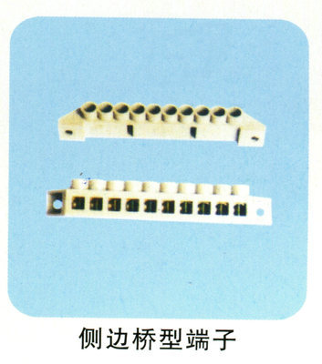 樂(lè)清廠家直銷(xiāo)側(cè)邊橋型端子 連接器領(lǐng)域的高性?xún)r(jià)比解決方案